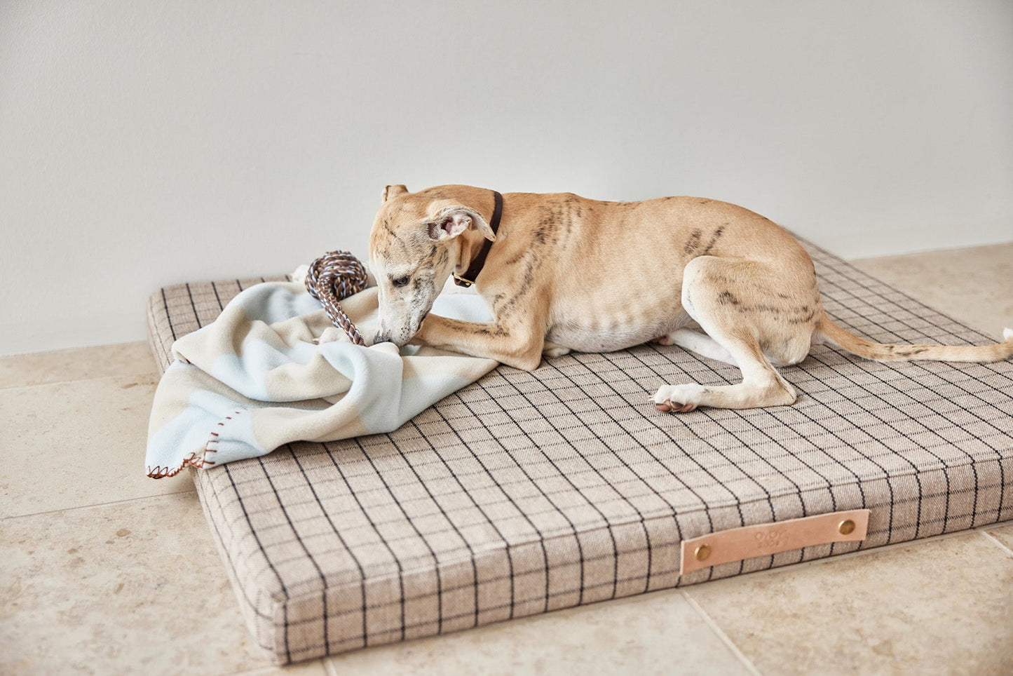 OYOY ZOO Kaya Dog Blanket - Medium Sleep