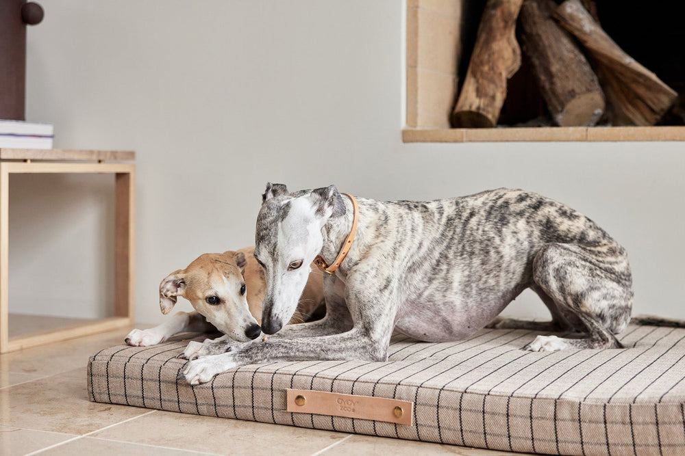 OYOY ZOO Milo Grid Dog Cushion - Medium Sleep