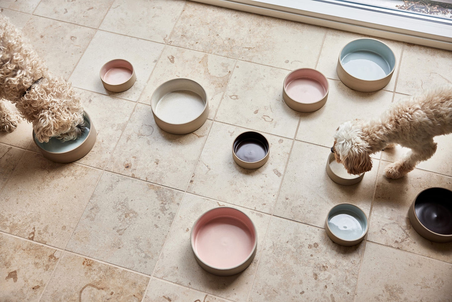 OYOY ZOO Sia Dog Bowl - Medium Dog Dinner