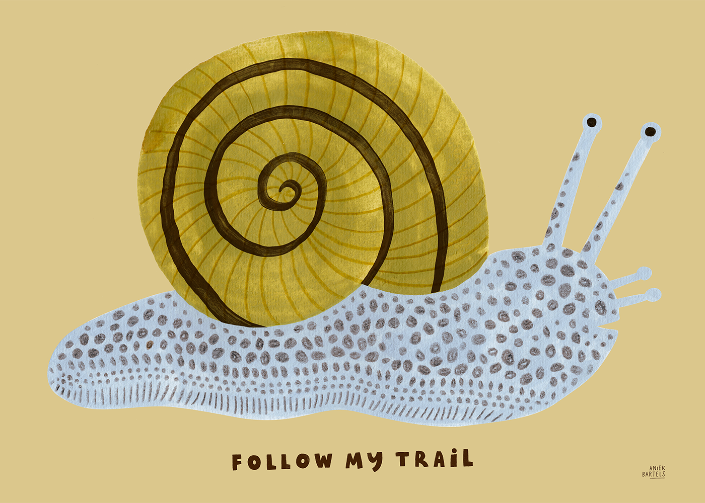 Follow My Trail