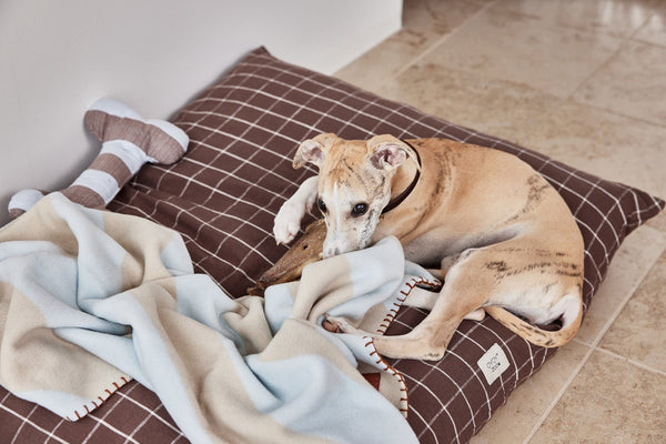 OYOY ZOO Kaya Dog Blanket - Large Sleep