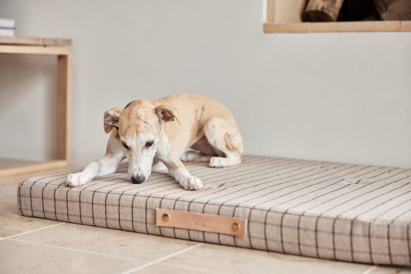 OYOY ZOO Milo Grid Dog Cushion - Large Sleep