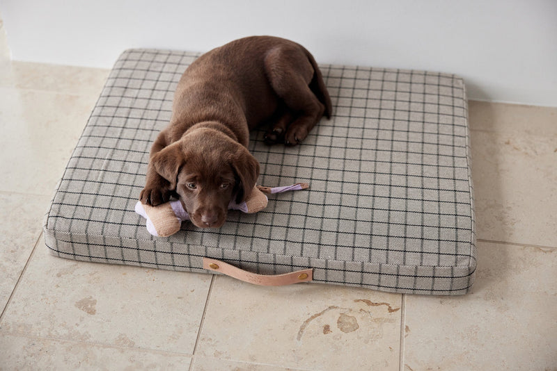 OYOY ZOO Milo Grid Dog Cushion - Small Sleep