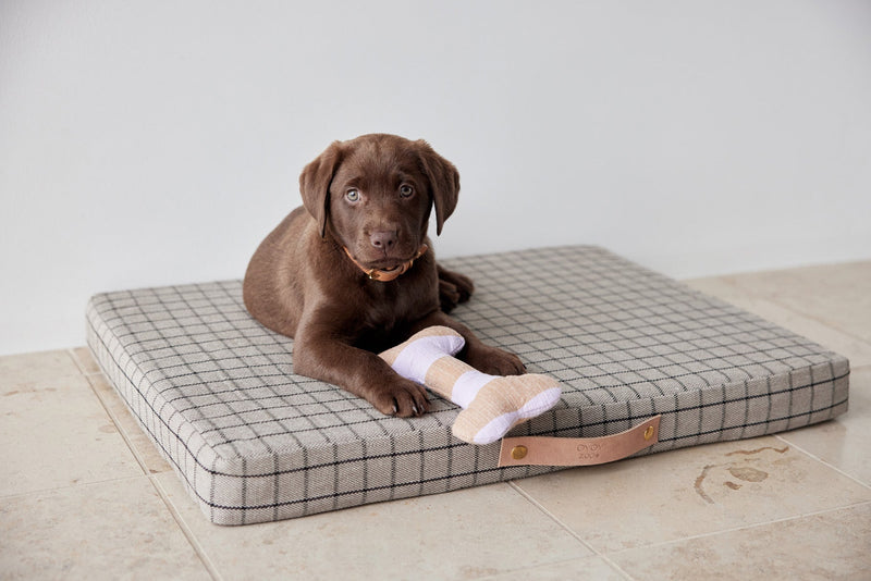 OYOY ZOO Milo Grid Dog Cushion - Small Sleep