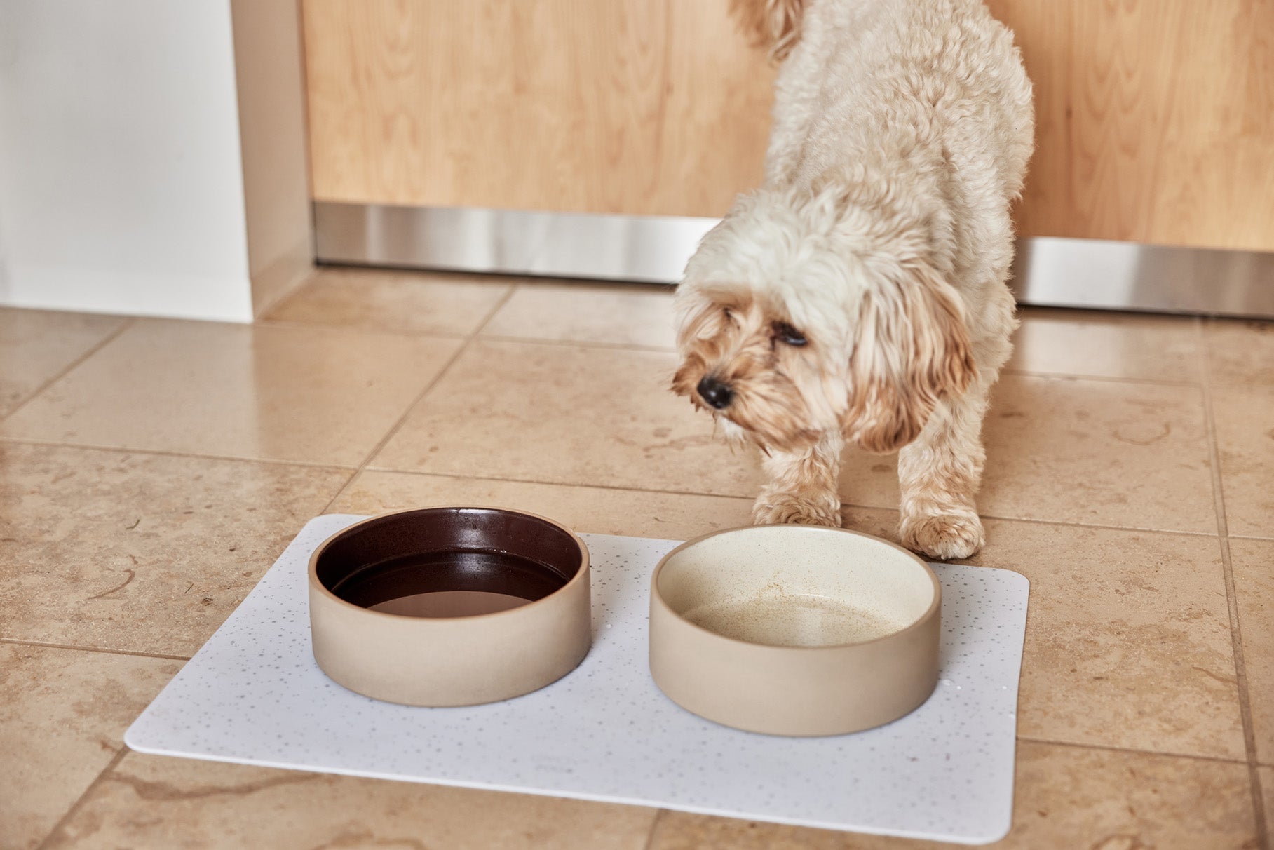 OYOY ZOO Sia Dog Bowl - Small Dog Dinner